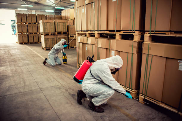 Best Pest Inspection Near Me  in North Charleston, SC