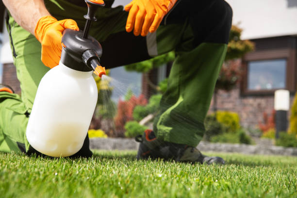 Pest Prevention Services in North Charleston, SC