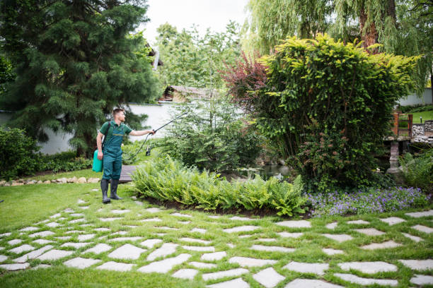 Best Local Pest Control Services  in North Charleston, SC