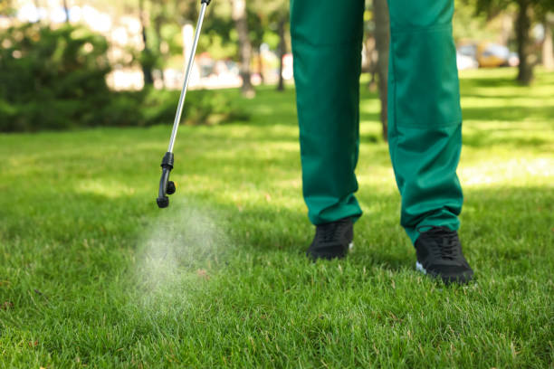 Best Pest Removal Services  in North Charleston, SC