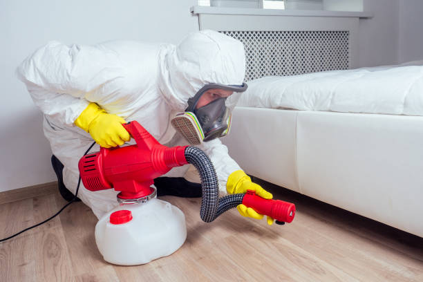Best Termite Control Services  in North Charleston, SC