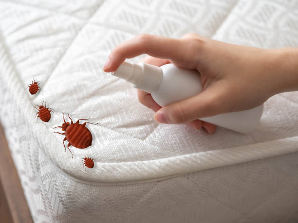 Pest Control for Restaurants in North Charleston, SC