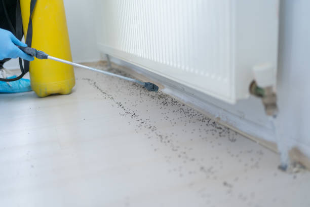 Best Emergency Pest Control  in North Charleston, SC