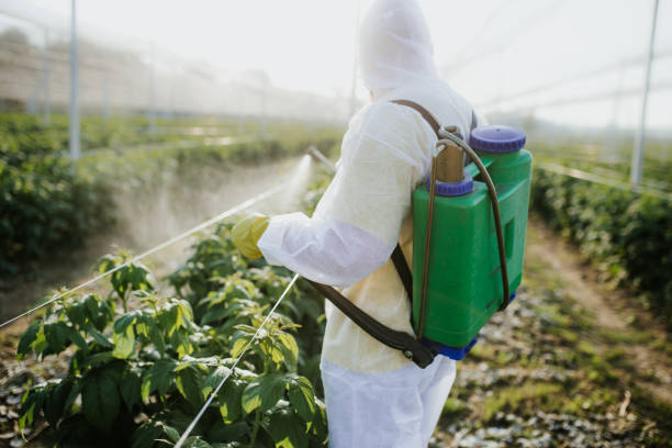 Best Bed Bug Extermination  in North Charleston, SC